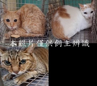 11504120001-3收-tile