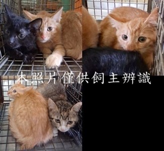 11504120004-8收-tile