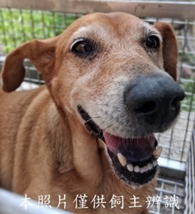 11504130007收-F38-3