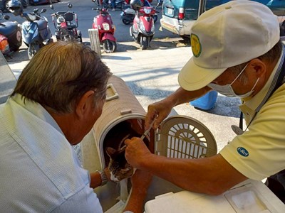 民眾參加巡迴注射情形