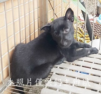 11504150007收-幼23