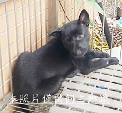 11504150007收-幼23