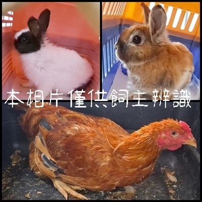 11504208008-10未
