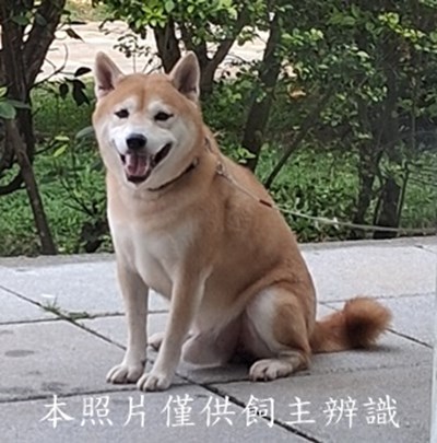 11504200011收棄