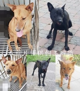 11504200005-9-horz-vert