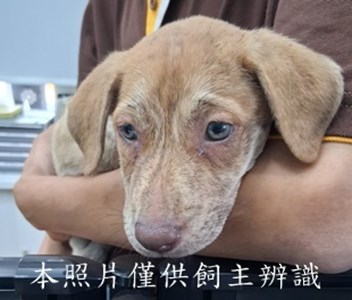 11504210011收-幼22