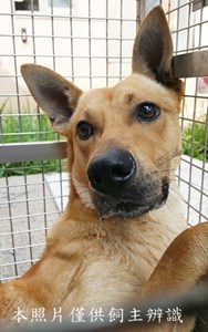 11504210014收-F39-1