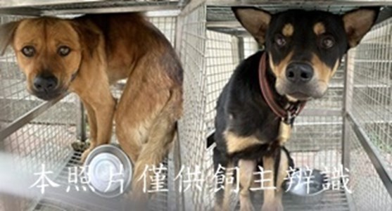 11504220001-2收-horz