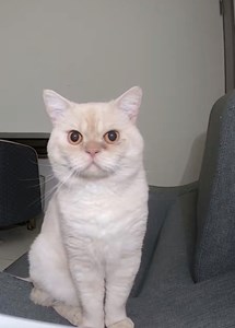 IMG_8256.jpeg