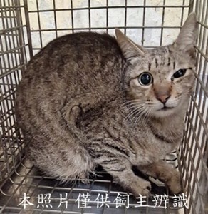 11505010004收-28