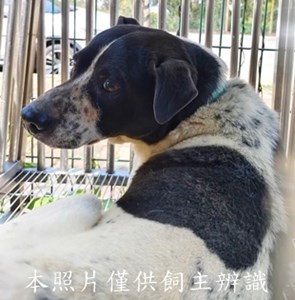 11505020001收棄