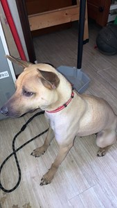 IMG_9139.jpeg