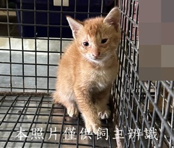 11505040002收72