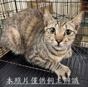 11505040003收13