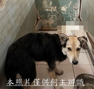 11505040005收4