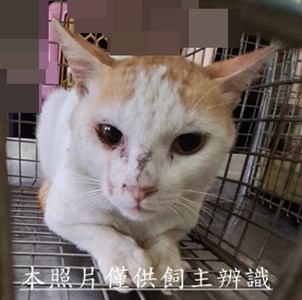 11505050001收-39