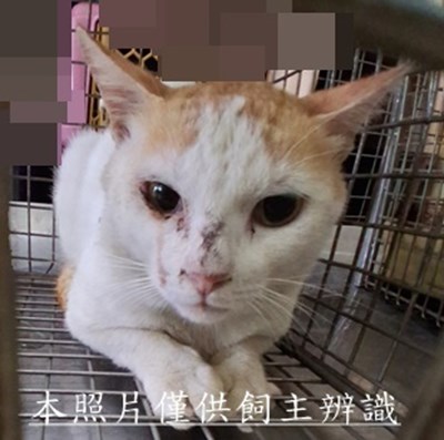 11505050001收-39