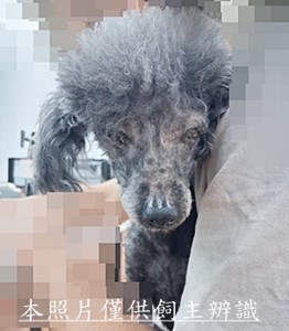 11505050009收棄