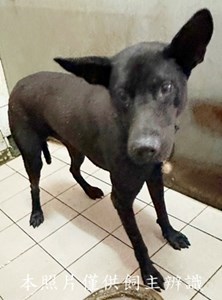 11505050011收E 8