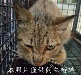 11505070001收-20