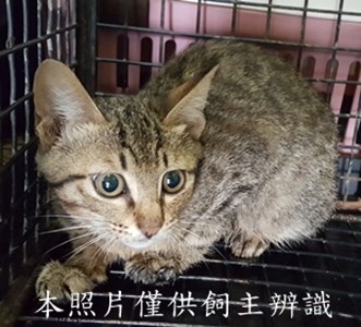 11505070002收-8