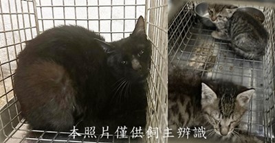 11505080001-3收