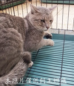 11505080012收-8