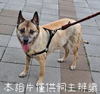 11505096008_4F24