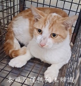 11505110011收-29