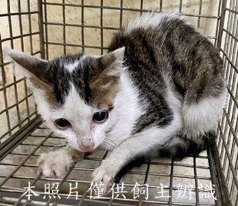 11505130002收29