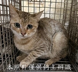 11505130003收12