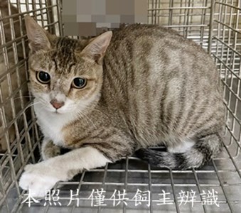 11505130004收19