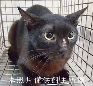 11505130009收-21
