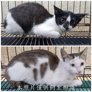 11505130010-11收