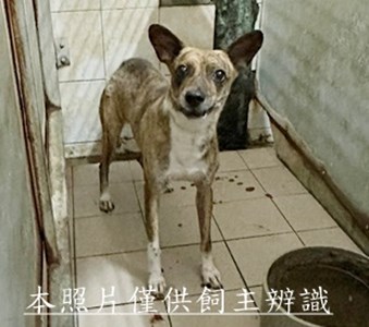 11505140020收10