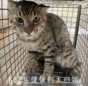 11505140021收75
