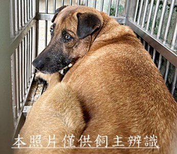 11505140022收安5