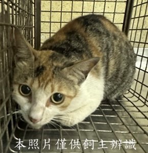 11505150005收73