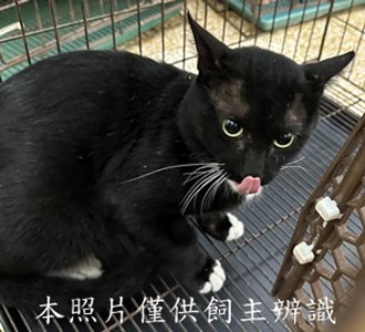11505150008收63