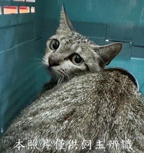 11505150009收2
