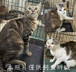 11505150010-12收-horz