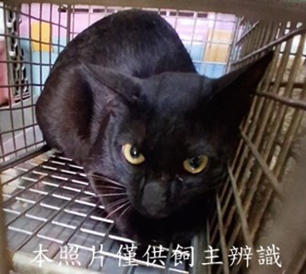 11505150015收79