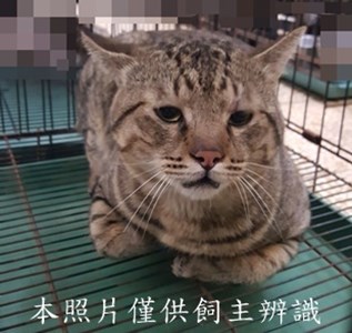 11505180009收-32