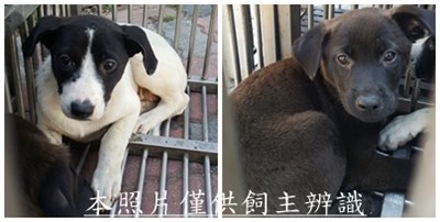 11505190002-3收