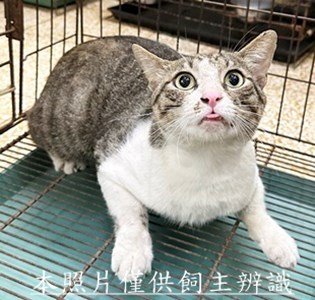 11505190012收65