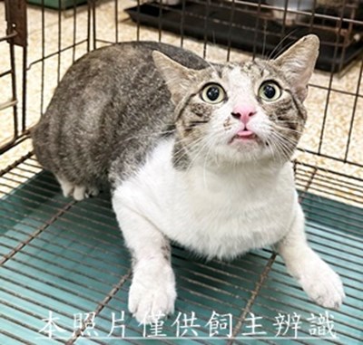 11505190012收65
