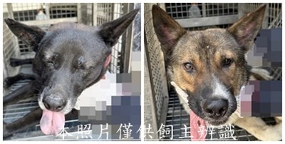 11505190017-18收