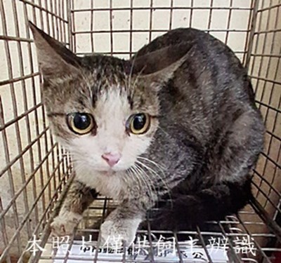 11505200002收-48