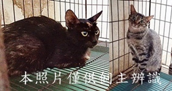 11505200013-14收-horz