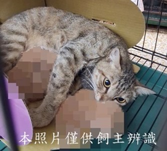 11505200016收-52